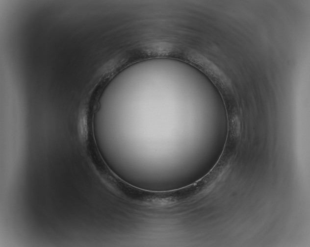 X0000102400638200808011547