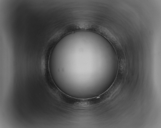 X0000102400639200808011547