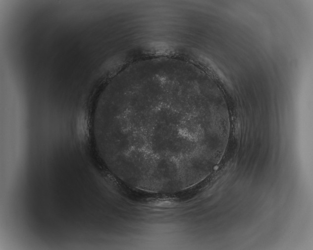 X0000102400643200808011547