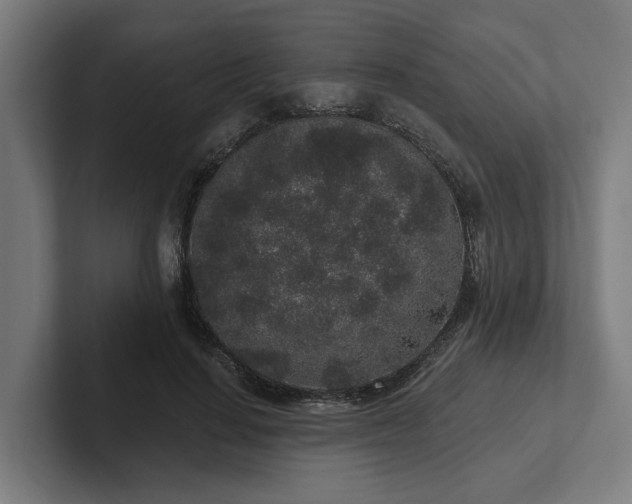 X0000102400644200808011547