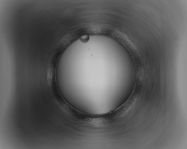 X0000102400645200808011547