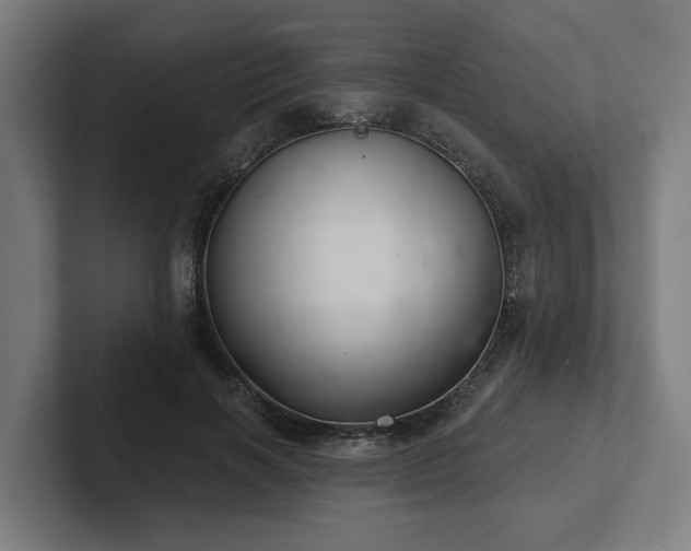 X0000102400646200808011547