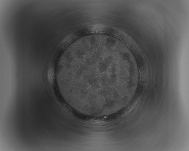 X0000102400648200808011547