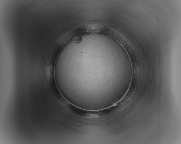 X0000102400649200808011547