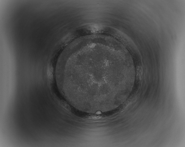 X0000102400650200808011547