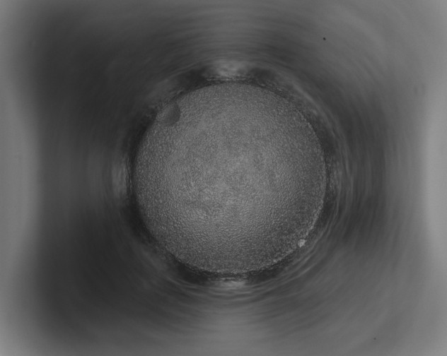 X0000102400651200808011547