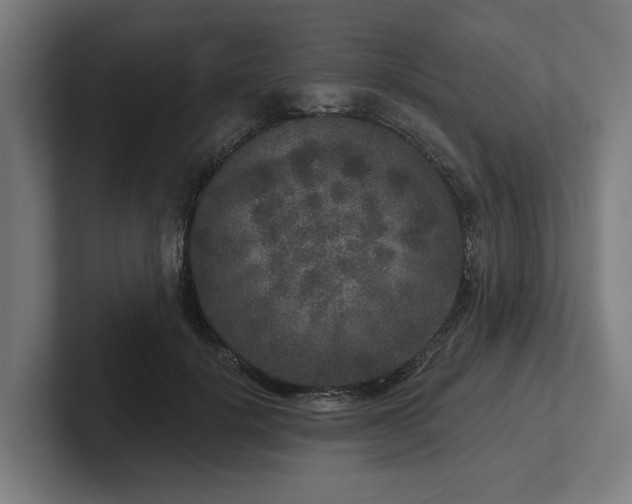 X0000102400652200808011547