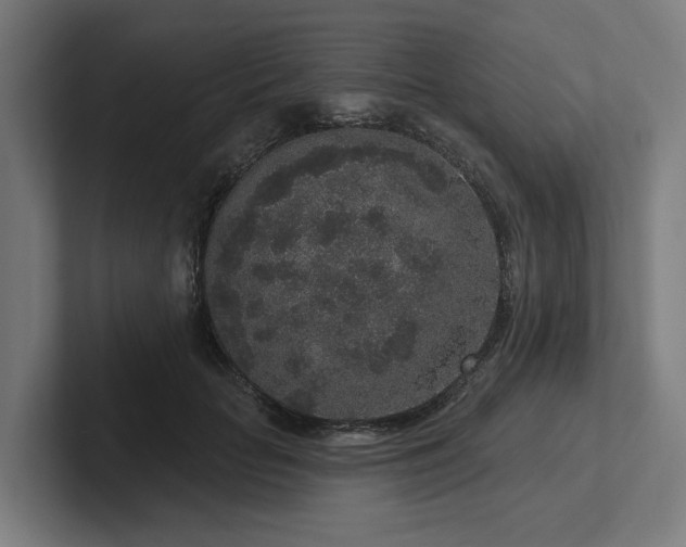 X0000102400653200808011547