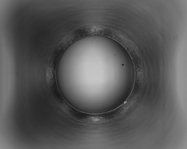 X0000102400654200808011547