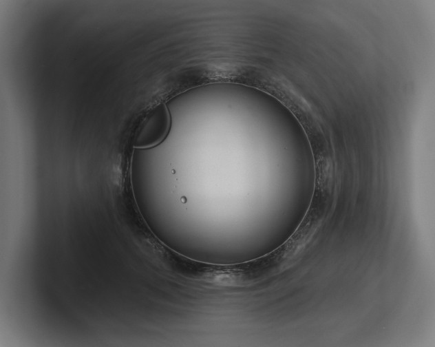 X0000102400655200808011547