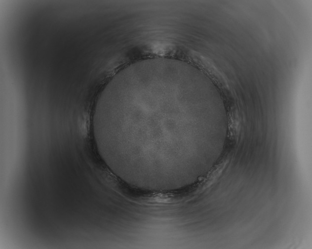 X0000102400656200808011547