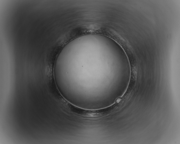 X0000102400657200808011547