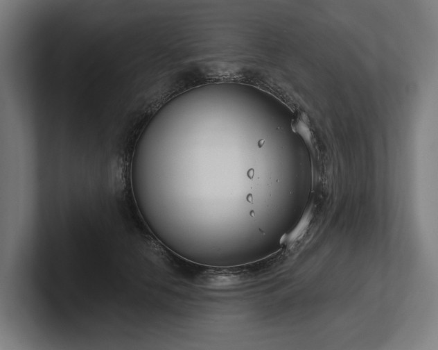 X0000102400658200808011547