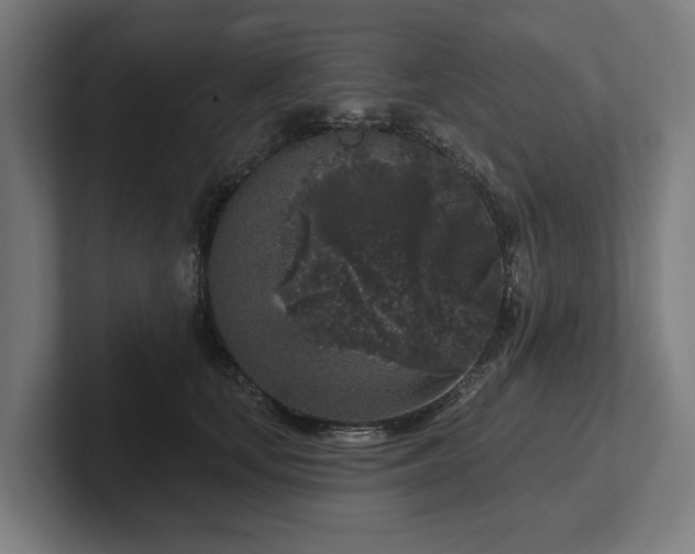 X0000102400659200808011547