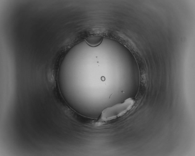 X0000102400662200808011547