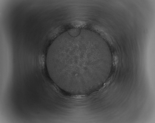 X0000102400664200808011547