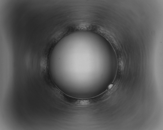 X0000102400665200808011547