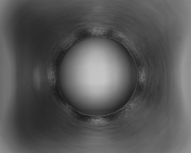 X0000102400666200808011548