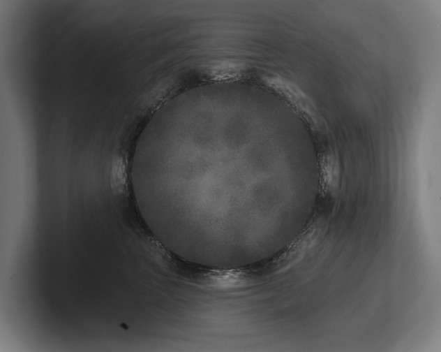 X0000102400667200808011548