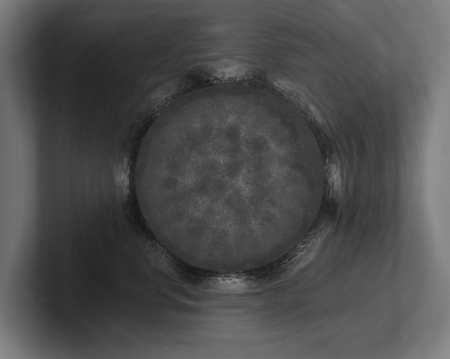 X0000102400668200808011548