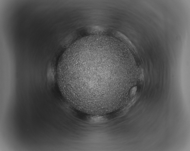 X0000102400669200808011548