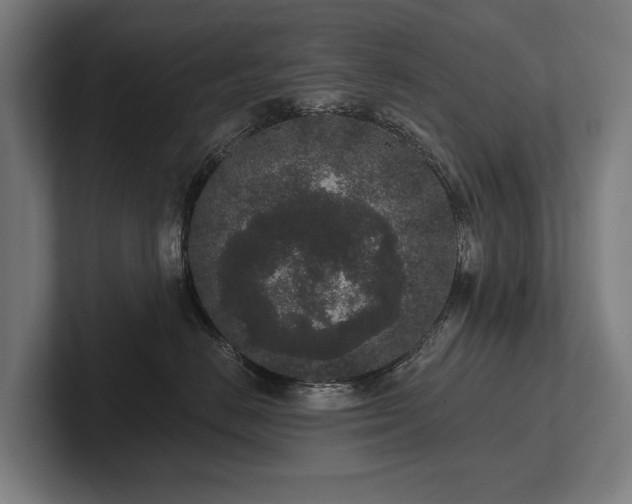 X0000102400670200808011548