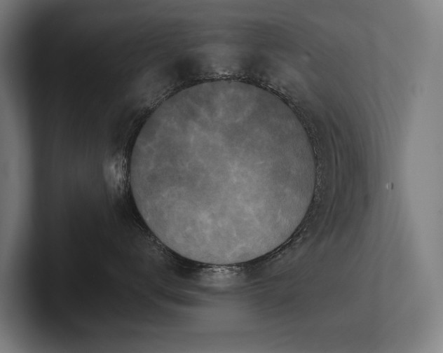 X0000102400672200808011548