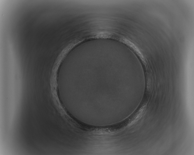 X0000102400673200808011547