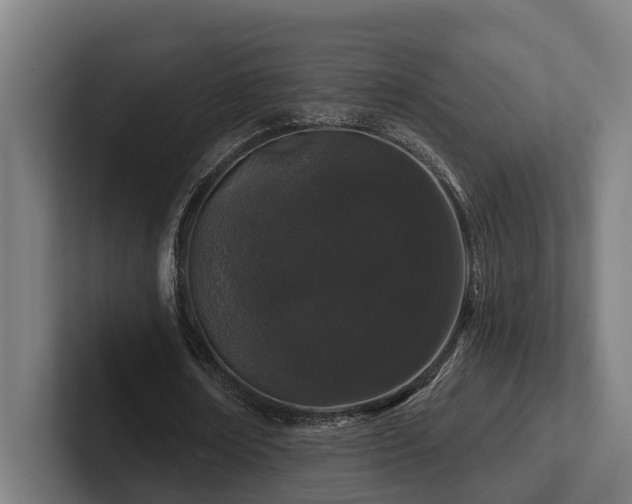 X0000102400674200808011547