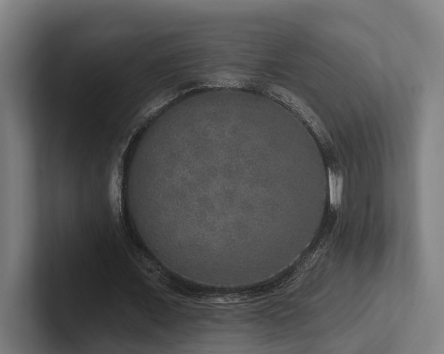 X0000102400675200808011547