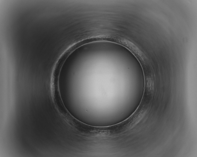 X0000102400676200808011547