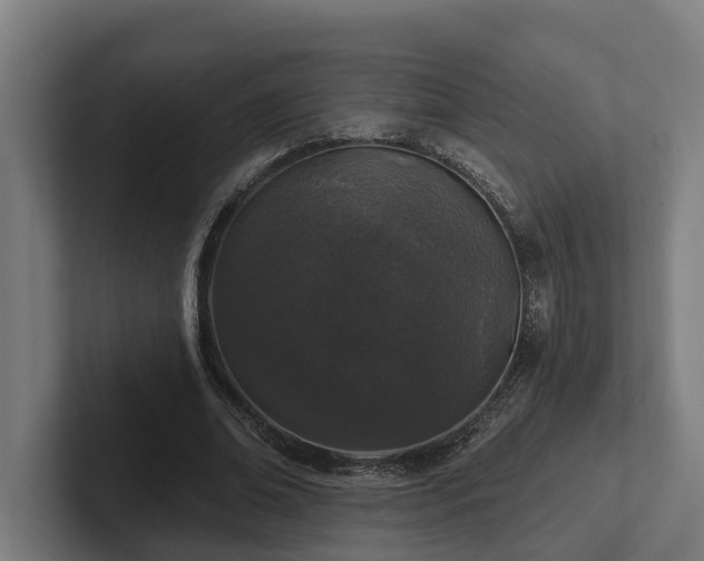 X0000102400678200808011547