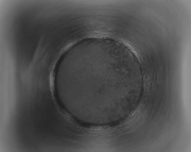 X0000102400679200808011547