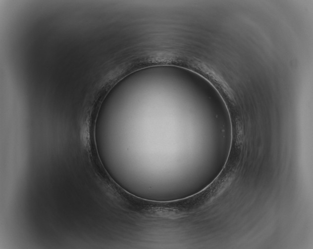 X0000102400681200808011547