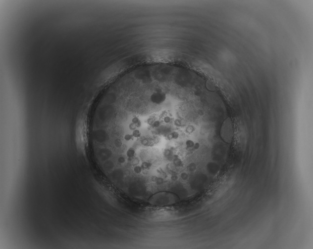 X0000102400683200808011547