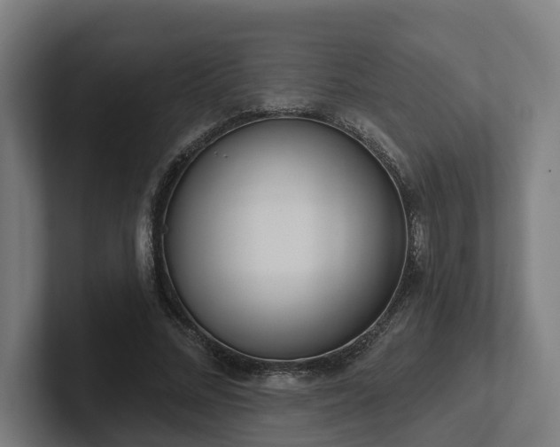 X0000102400684200808011547