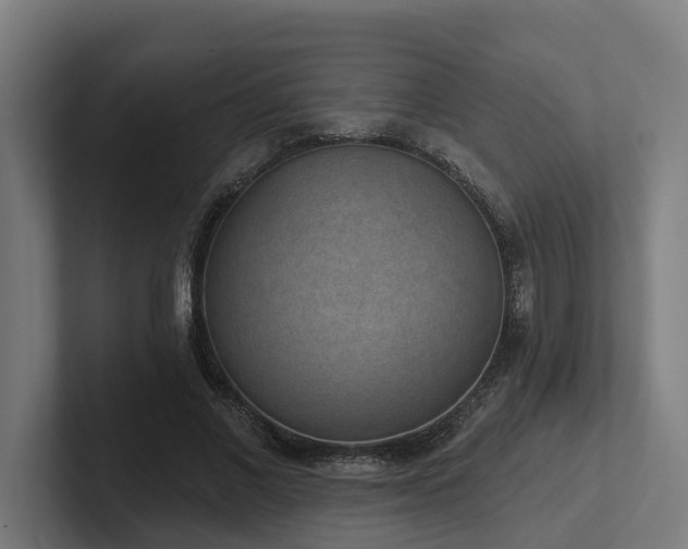 X0000102400685200808011547