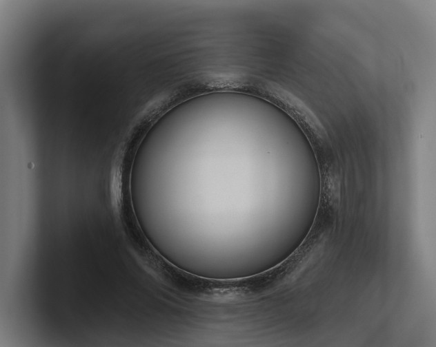 X0000102400686200808011547