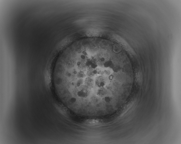 X0000102400687200808011547