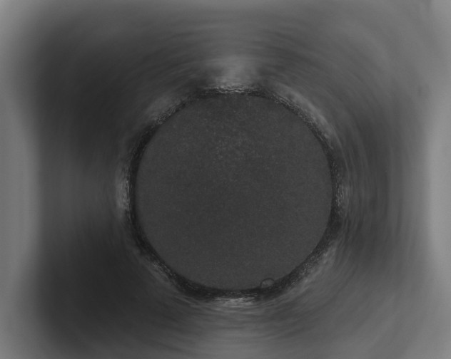 X0000102400689200808011547