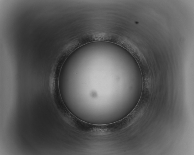 X0000102400690200808011547