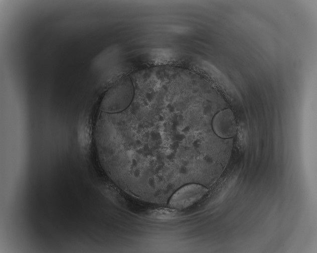 X0000102400691200808011547