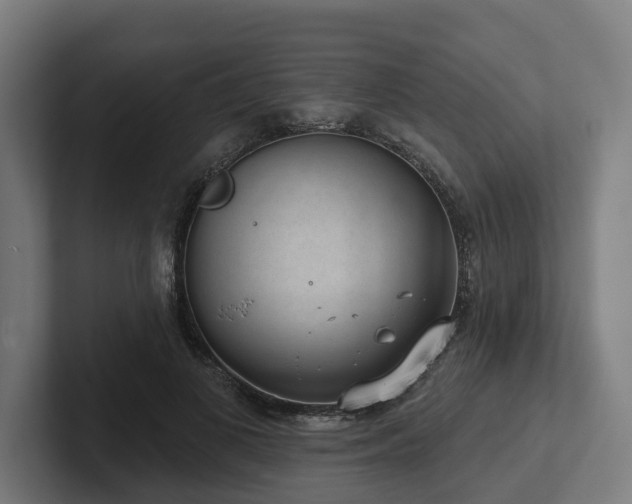 X0000102400693200808011547