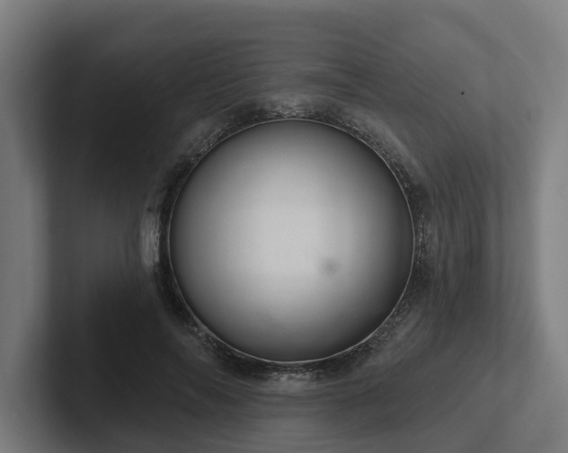 X0000102400694200808011547