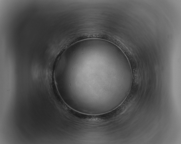 X0000102400695200808011547