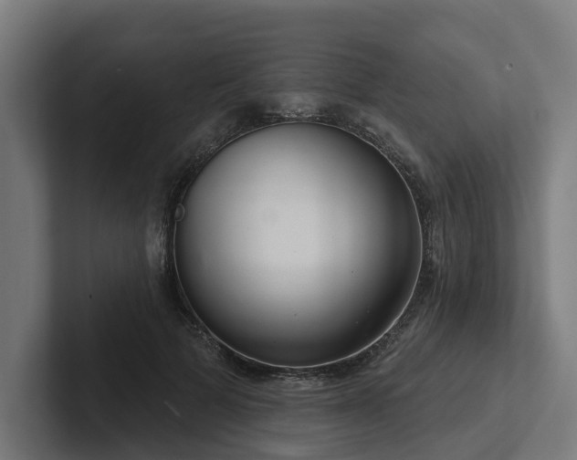 X0000102400697200808011547