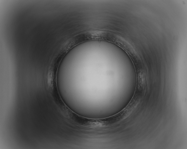 X0000102400698200808011547