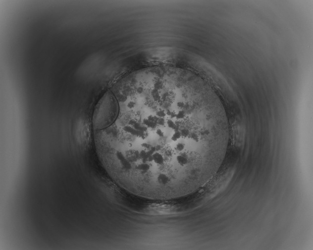 X0000102400699200808011547