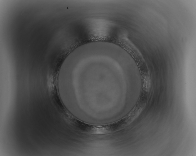 X0000102400701200808011547