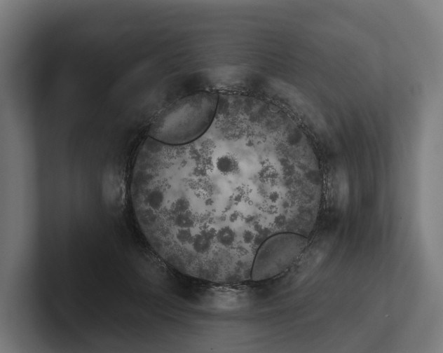 X0000102400703200808011547